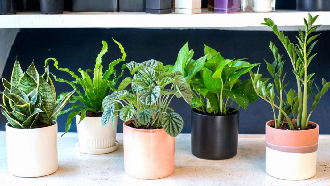 qua-tang-cong-nhan-xi-nghiecca3p-8-1648811800