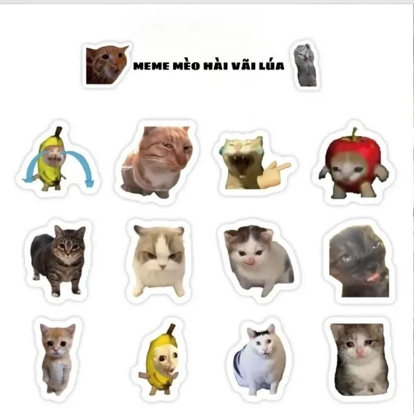 Bộ sticker meme mèo