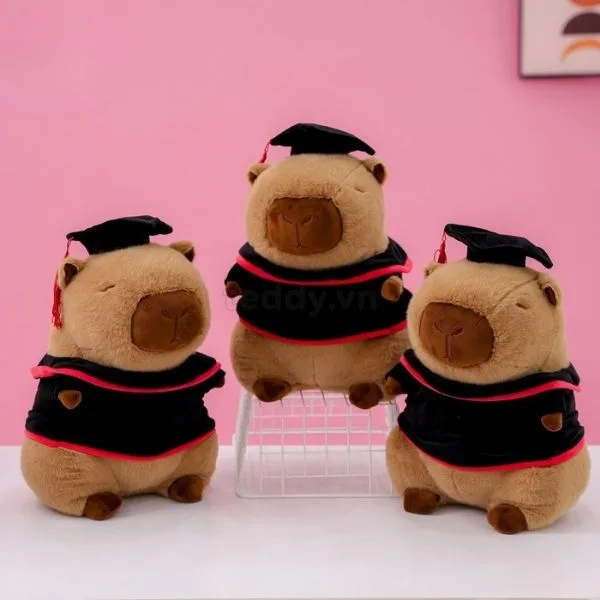 Gấu bông làm quà tốt nghiệp Capypara theo trend