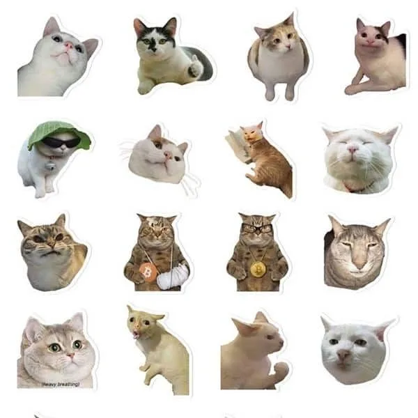 Sticker hài hước